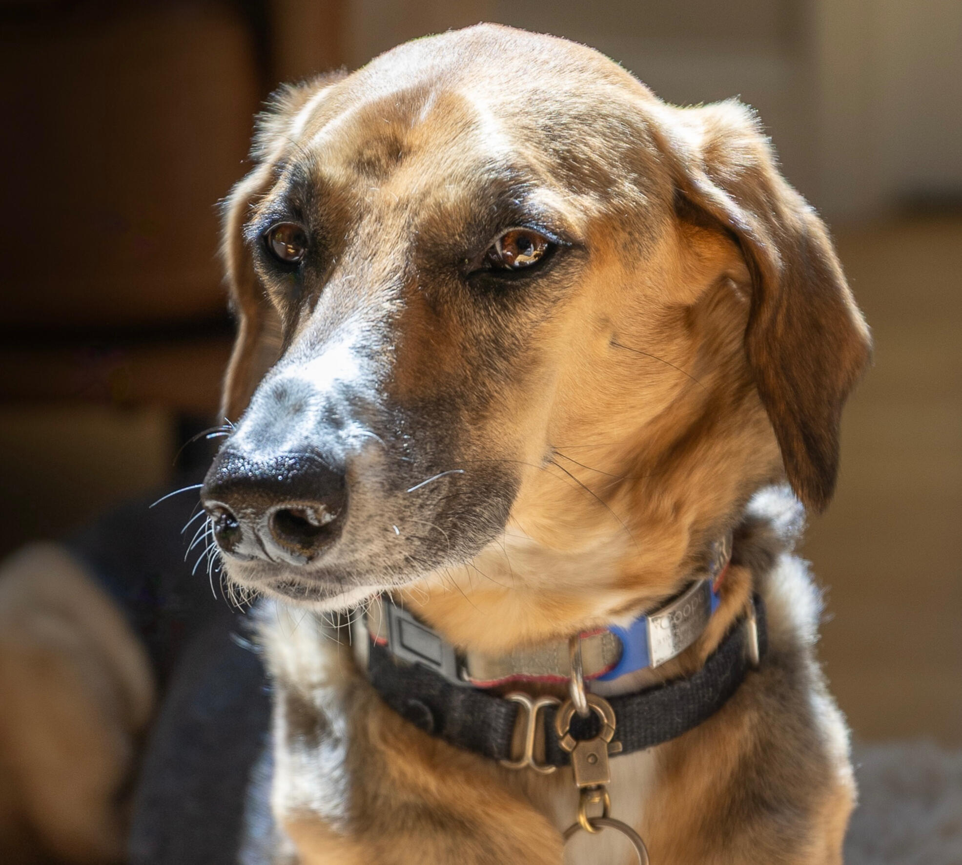 Cooper